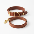 Dog Collar & Leash - Detail
